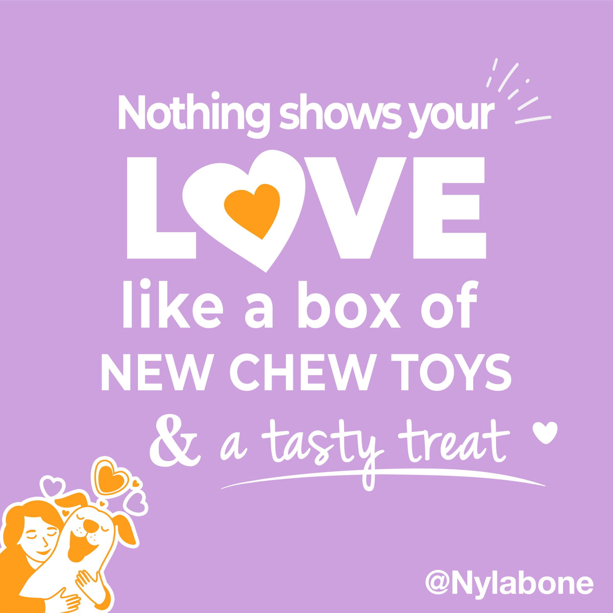 Nylabone Dog Toy Gift Box, Includes 3 Dog Chew Toys and 1 Dog Treat, Small Dogs, 4 Pack