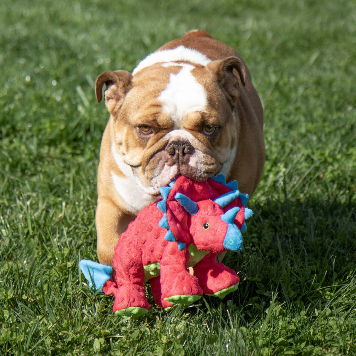 goDog Dino Frills Squeaky Plush Toy for Dogs with Chew Guard Technology for Stronger & Longer Play, Soft & Durable with Built-In Squeaker, Red, Large