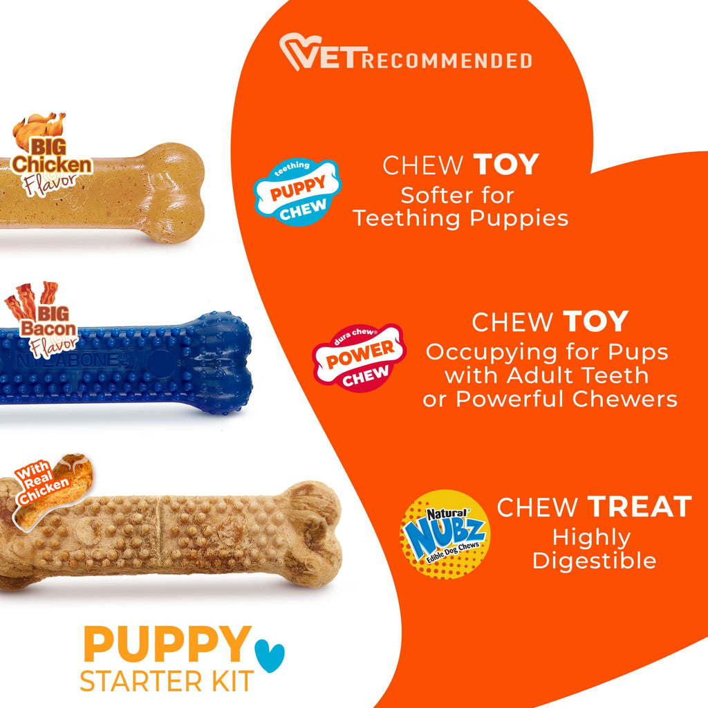 Nylabone Puppy Toys, Dog Teething Toys & Dog Treats, Variety Flavor, Small, 3 pack