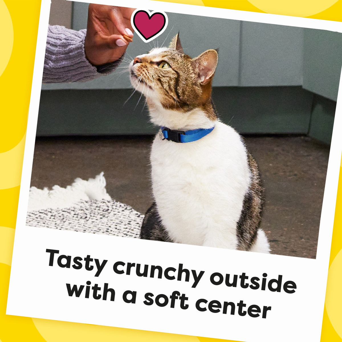 Temptations Indoor Care Chicken Flavor Crunchy and Soft Cat Treats, 4.9 oz Pouch