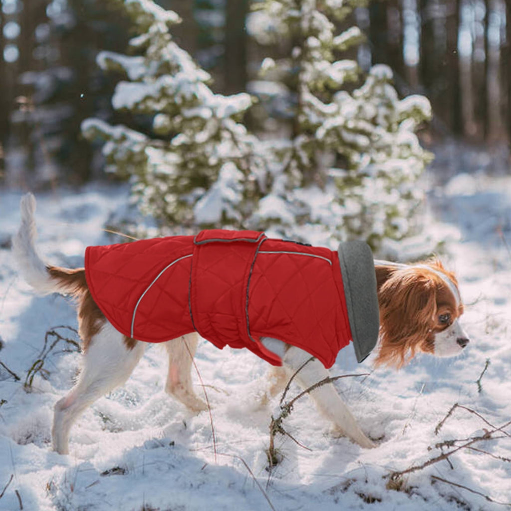 Kuoser Dog Coat Warm Dog Winter Jacket for Small Medium Large Dogs, Green, M