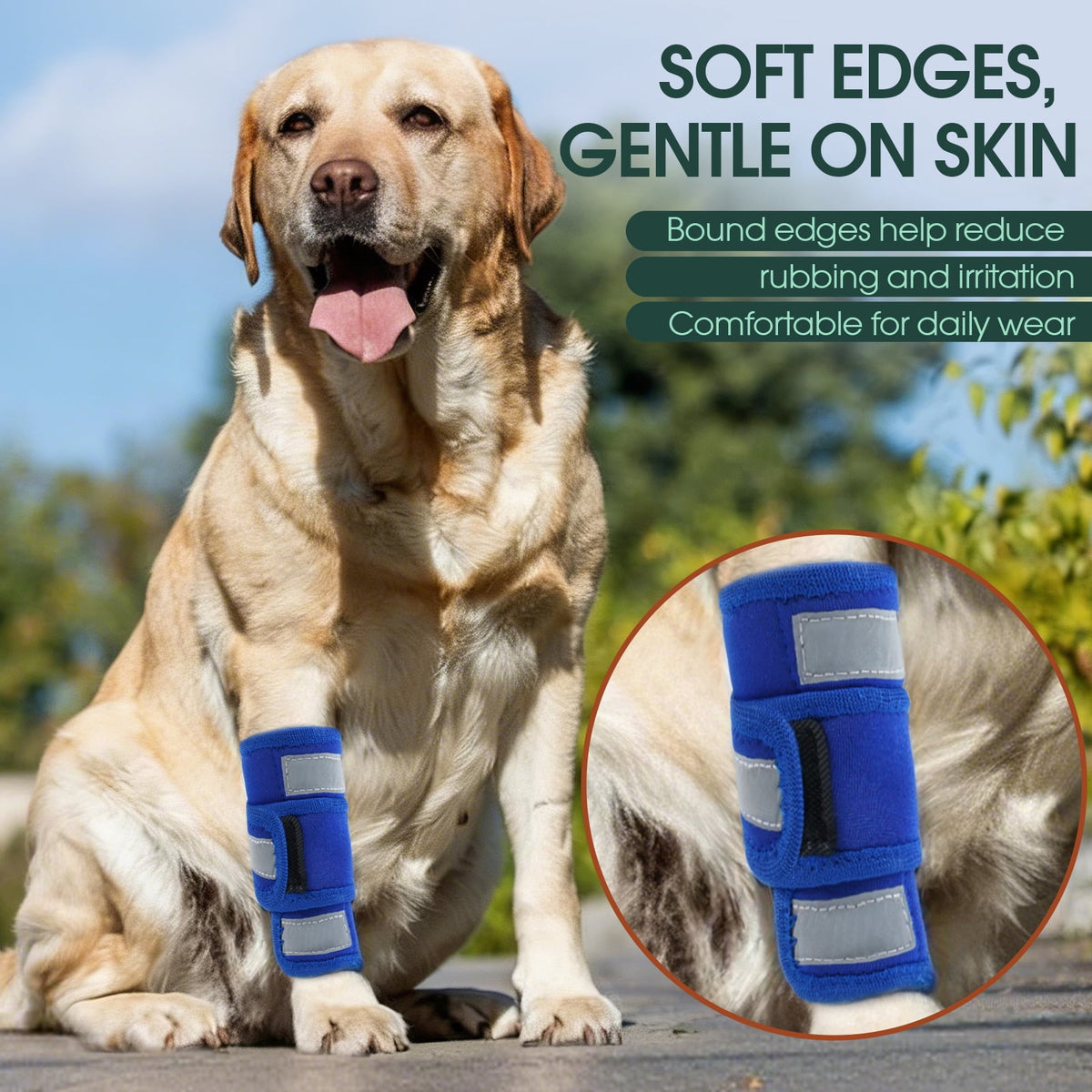 Kuoser Dog Front Leg Brace – Adjustable Carpal Support Wrap for Canine Joint, Wound Recovery & Anti-Licking Sleeve, Black, S/M
