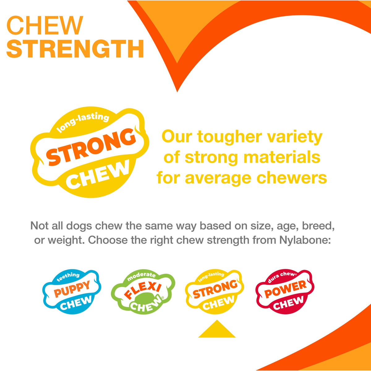 Nylabone Strong Chew Double Action Bone Dog Toy, Rubber Dog Chew Toy, Bacon Cheeseburger Flavor, Small, 1 Count