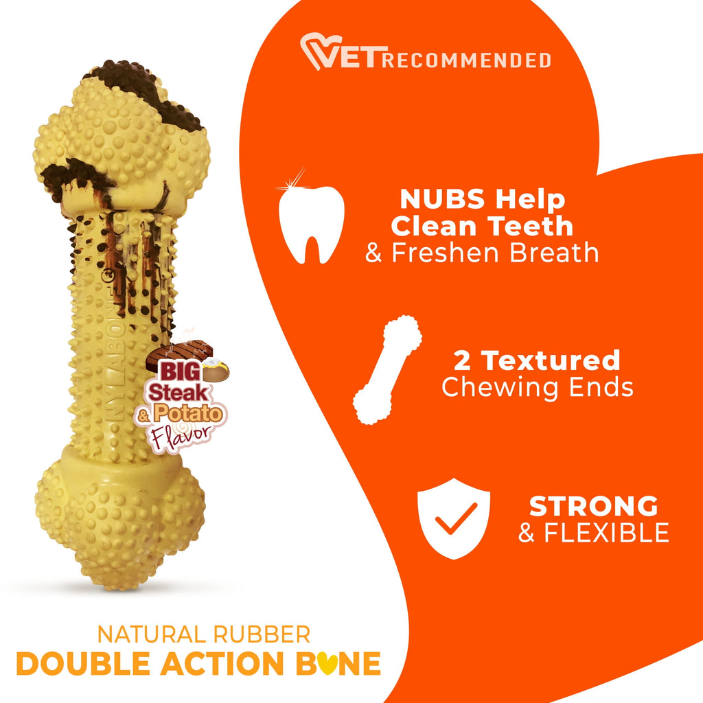 Nylabone Strong Chew Double Action Bone Dog Toy, Dog Chew Toy, Steak & Potato Flavor, Large, 1 Count