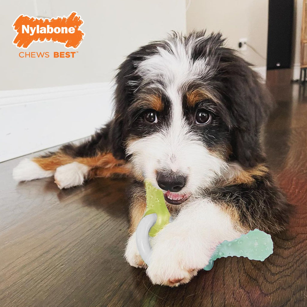 Nylabone Puppy Chew Pacifier Dog Toy, Dog Chew Toy, Peanut Butter Flavor, Small, 1 Count