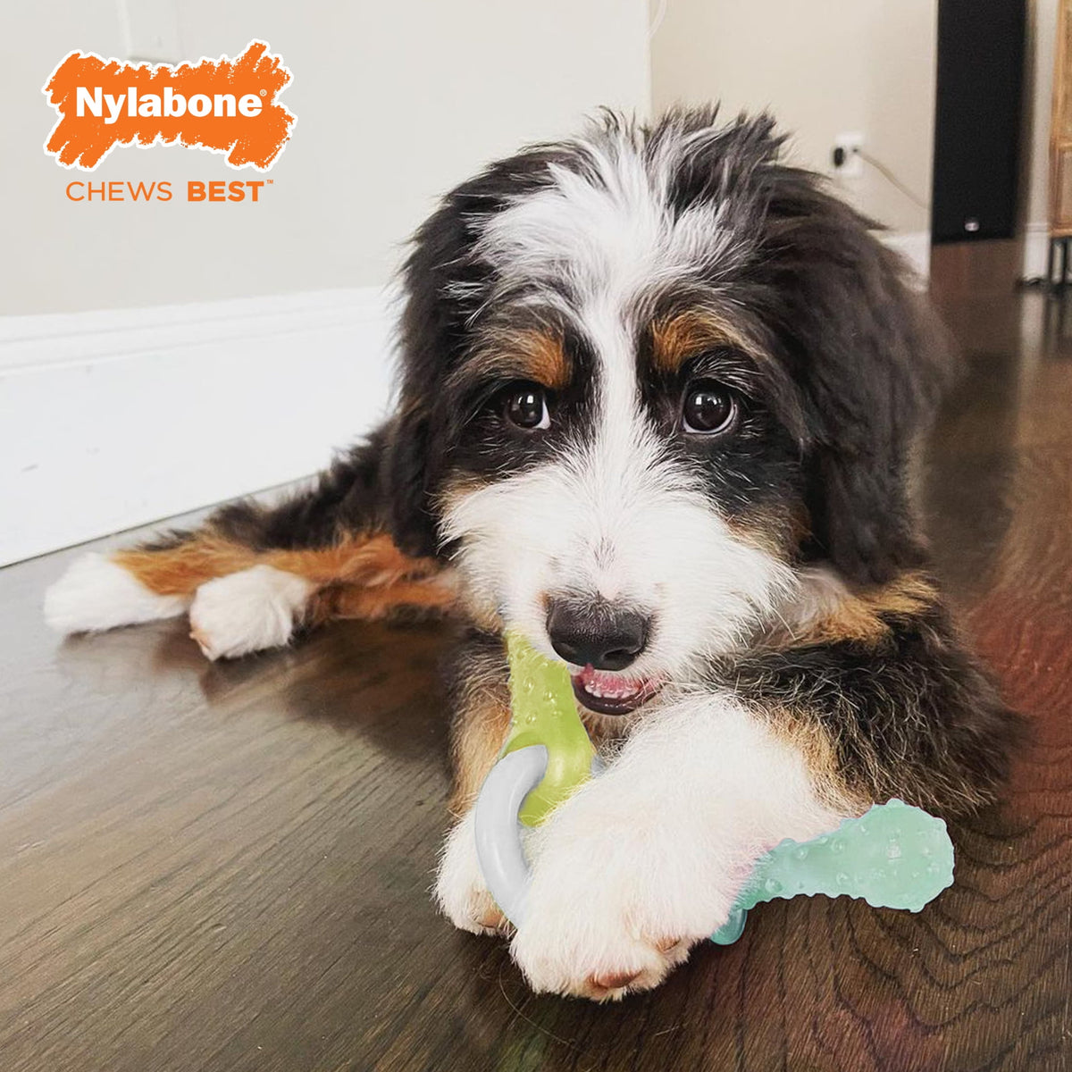 Nylabone Puppy Chew Pacifier Dog Toy, Dog Chew Toy, Peanut Butter Flavor, Small, 1 Count