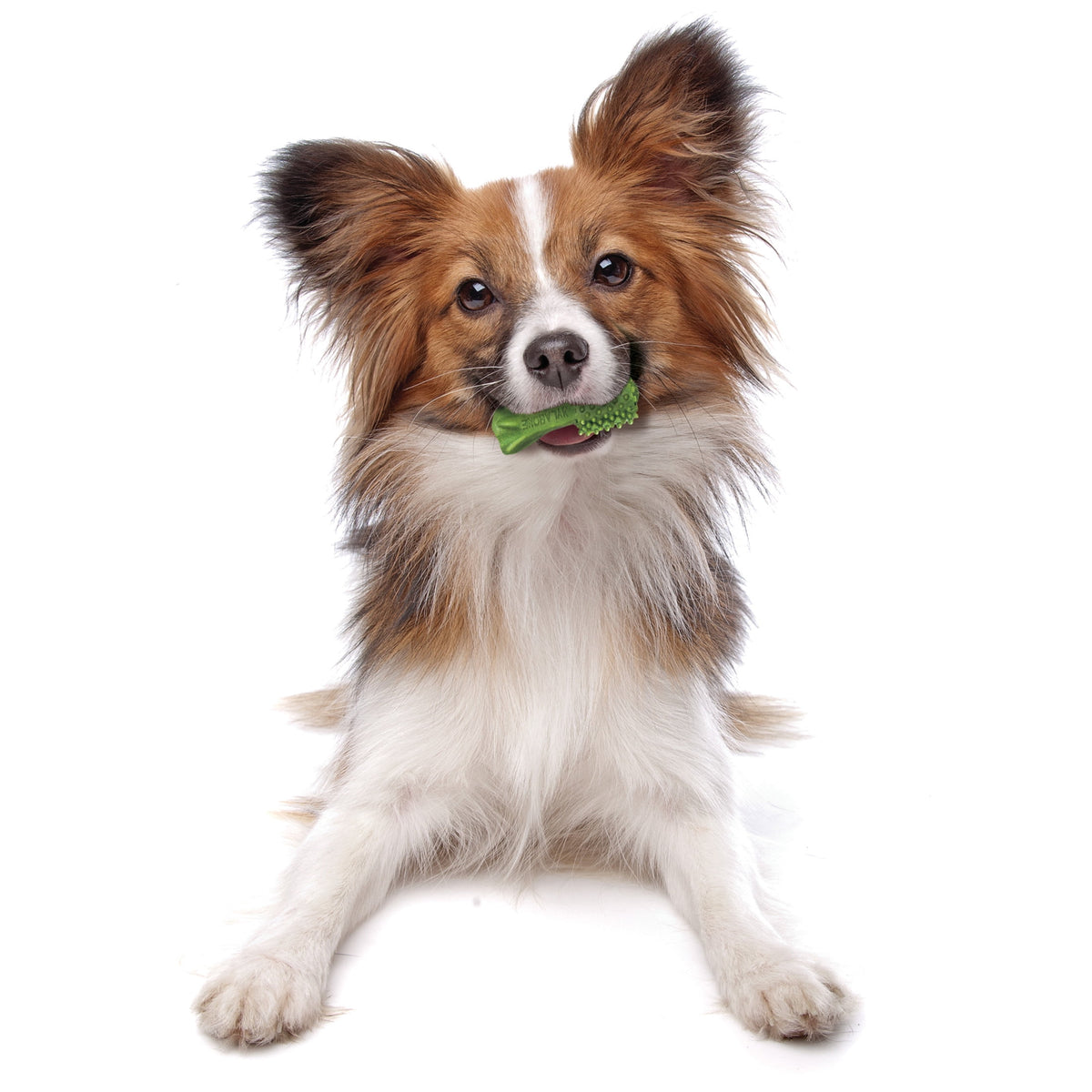 Nylabone Nutri Dent Natural Dental Chews for Dogs, Limited Ingredient Dog Treats, Teeth Cleaning Dental Sticks for Dogs, Fresh Breath Flavor, For X-Small Dogs (78 Count)