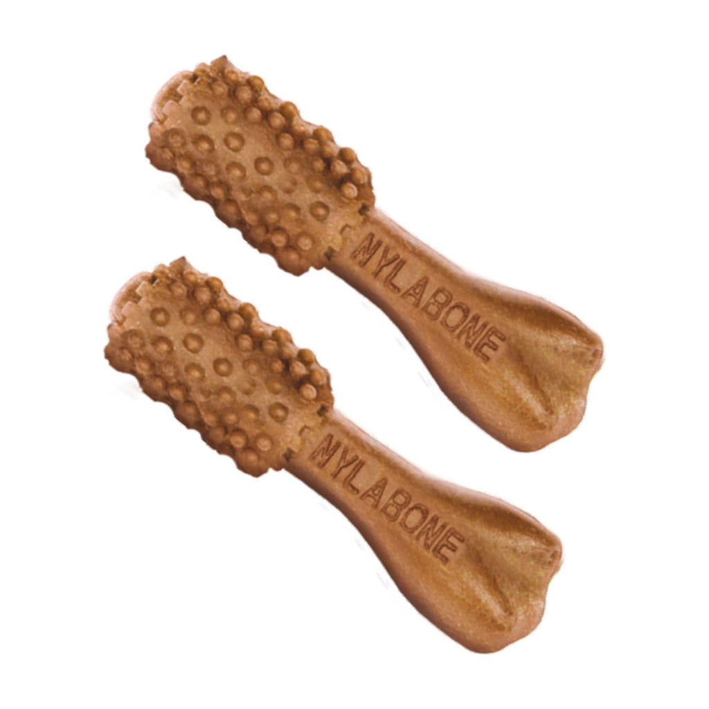 Nylabone Nutri Dent Natural Dental Chews for Dogs, Limited Ingredient Dog Treats, Teeth Cleaning Dental Sticks for Dogs, Filet Mignon Flavor, For X-Small Dogs (78 Count)