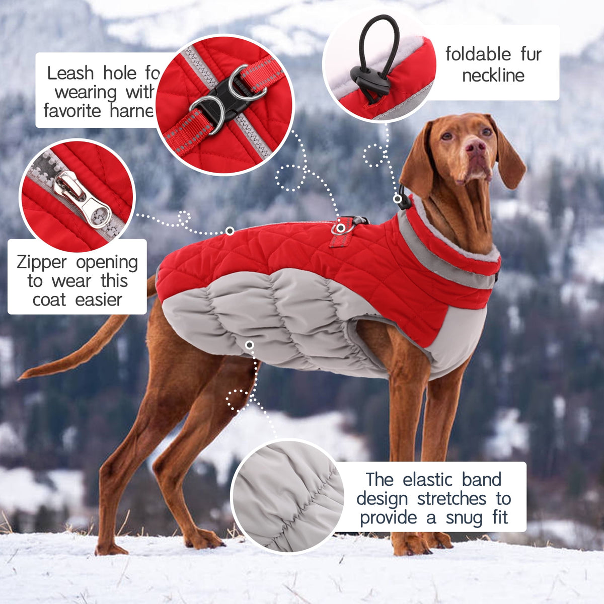 Kuoser Dog Winter Coat, Waterproof Windproof Fleece Padded Jacket with Reflective Trim and Leash Ring for Small Dogs, Purple, S