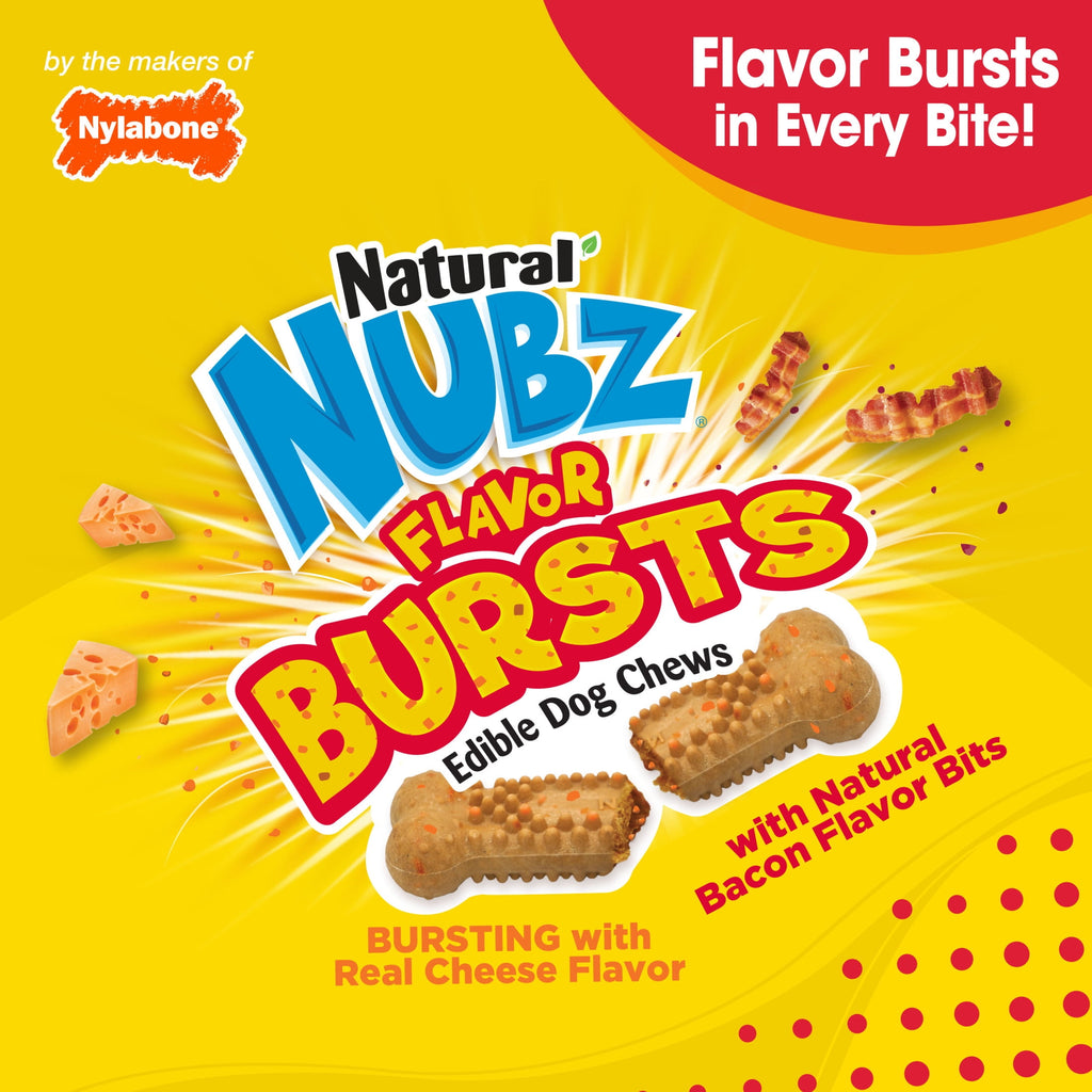Nylabone Nubz Flavor Bursts Natural Dog Treats for Large Dogs, Bacon & Cheese Flavor Dog Bones, Large - 30+ lbs., 7 Count