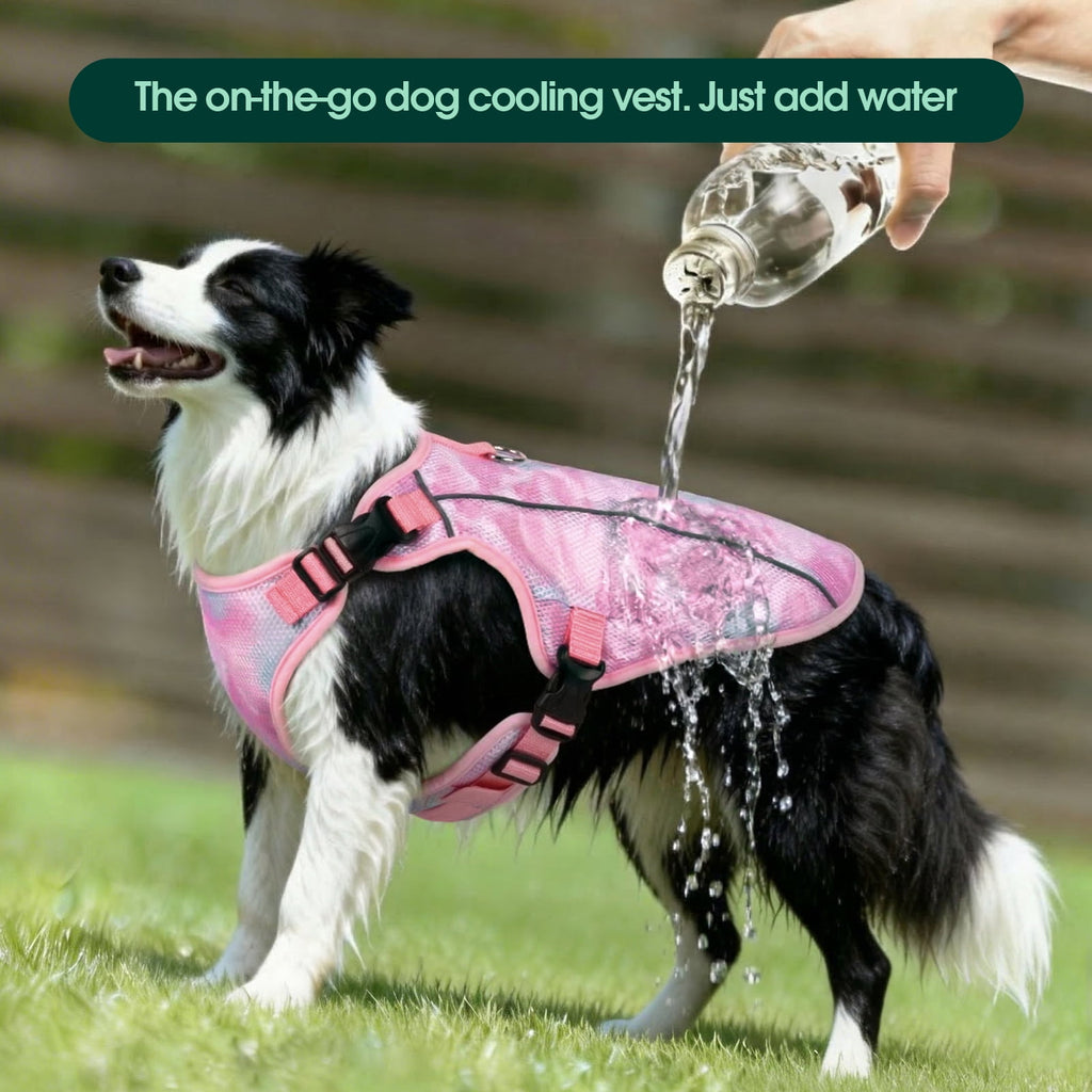 Kuoser Dog Cooling Vest, Breathable Mesh Ice Vest for Dogs, Cooling Jacket for Pet, Blue, extra large