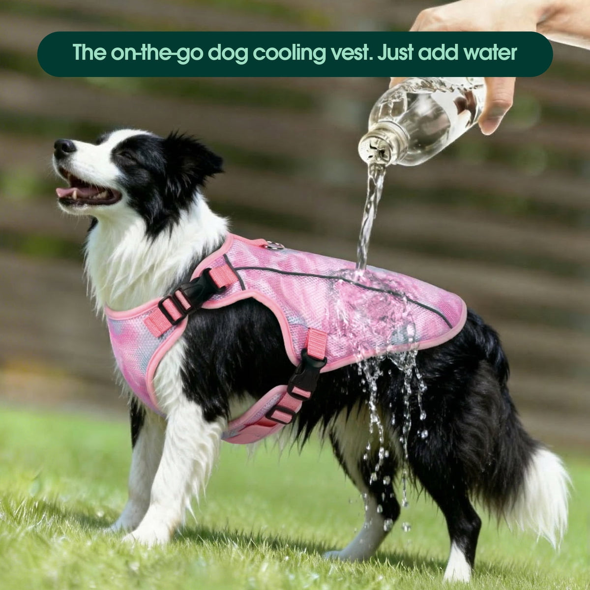 Kuoser Dog Cooling Vest, Breathable Mesh Ice Vest for Dogs, Cooling Jacket for Pet, Blue, extra large