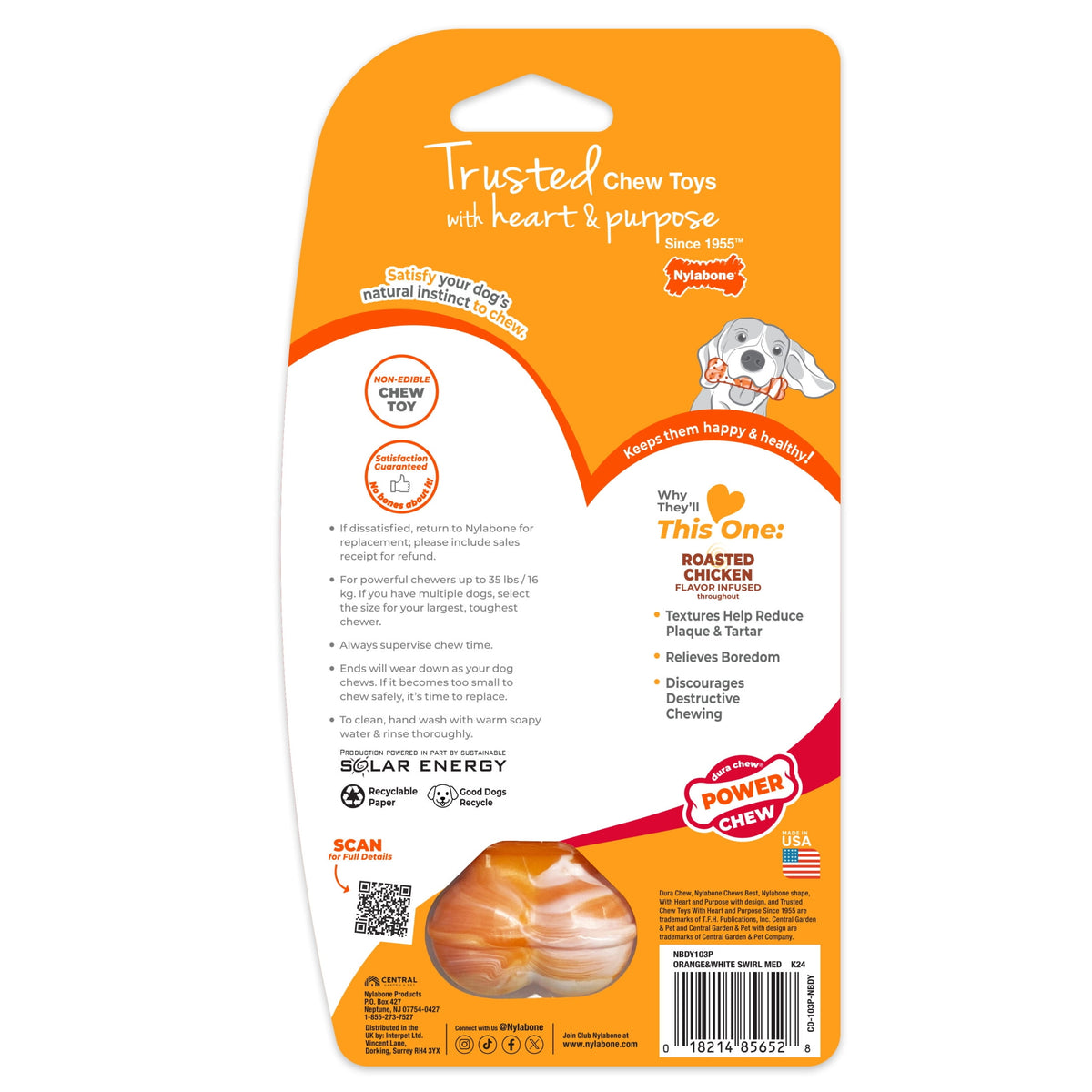Nylabone Power Chew 70th Birthday Textured Bone Dog Toy, Dog Chew Toy, Chicken Flavor, Medium, 1 Count