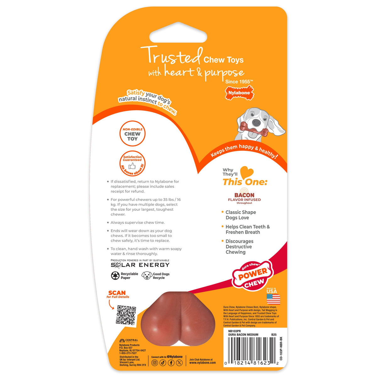 Nylabone Power Chew Original Bone Dog Toy, Dog Chew Toy, Original Flavor, Large, 1 Count