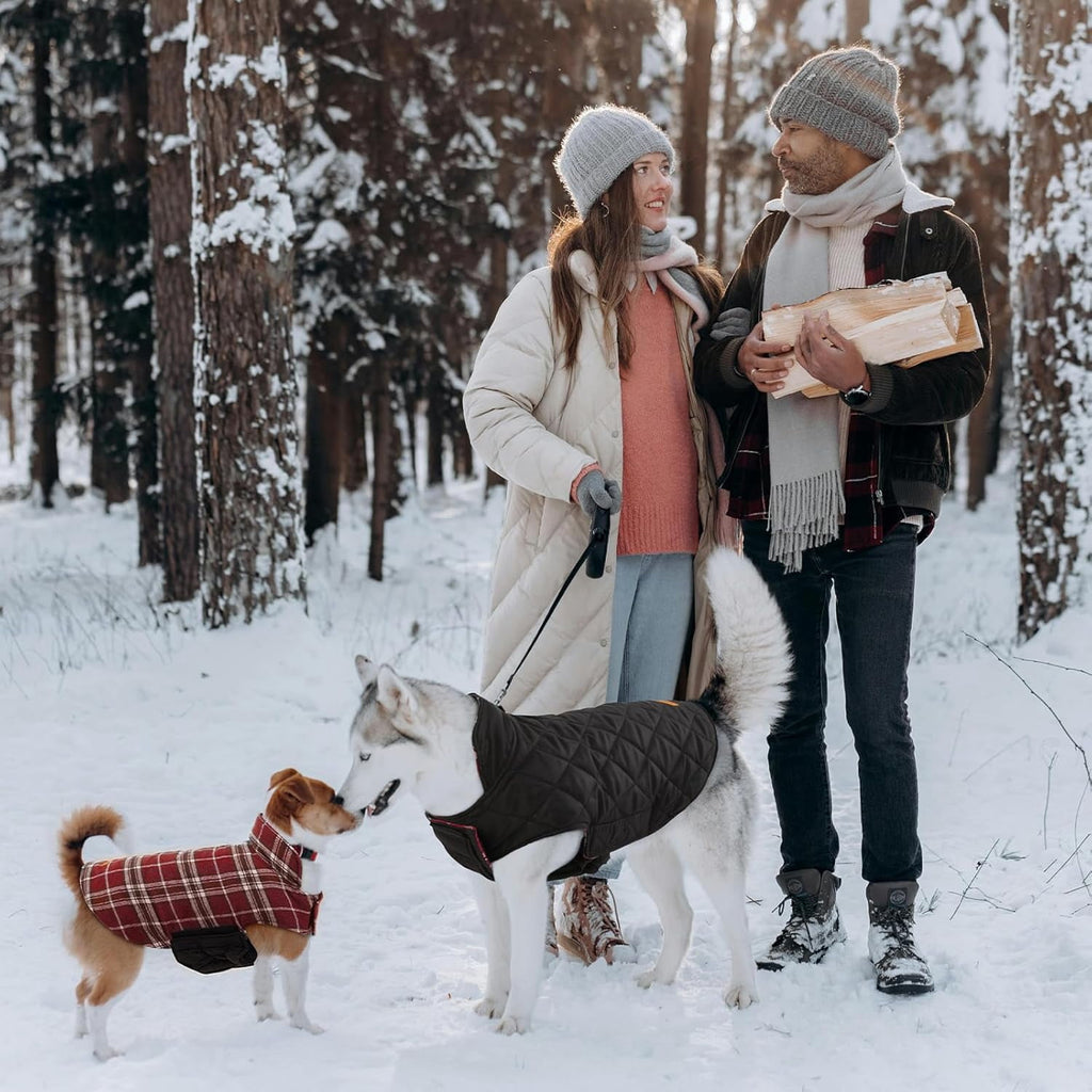 Kuoser Reversible Dog Coat Adjustable British Style Plaid Pet Jacket, Waterproof and Windproof, Blue, M