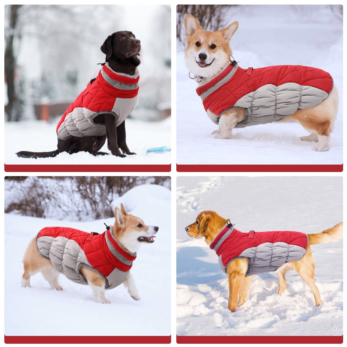 Kuoser Dog Winter Coat, Waterproof Windproof Fleece Padded Jacket with Reflective Trim and Leash Ring for Small Dogs, Purple, S
