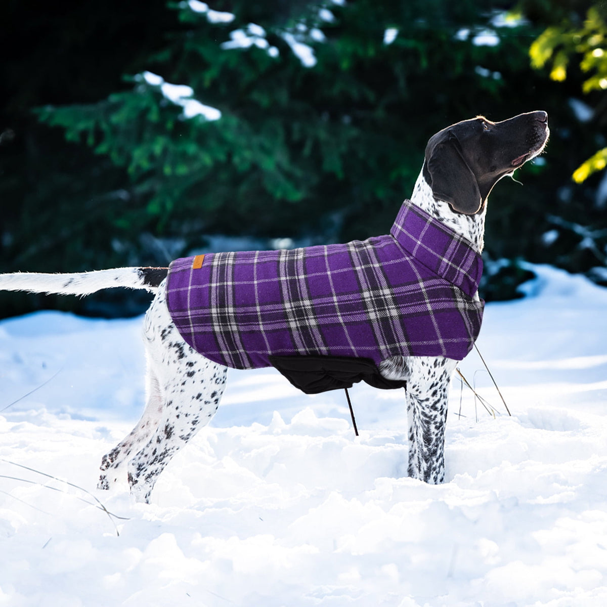 Kuoser Reversible Dog Coat Adjustable British Style Plaid Pet Jacket, Waterproof and Windproof, Blue, M
