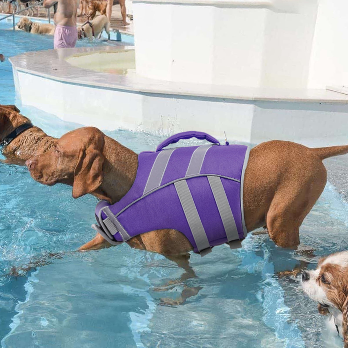 Kuoser Dog Life Jacket with Reflective Stripes, Adjustable Dog Life Vest, Red, M