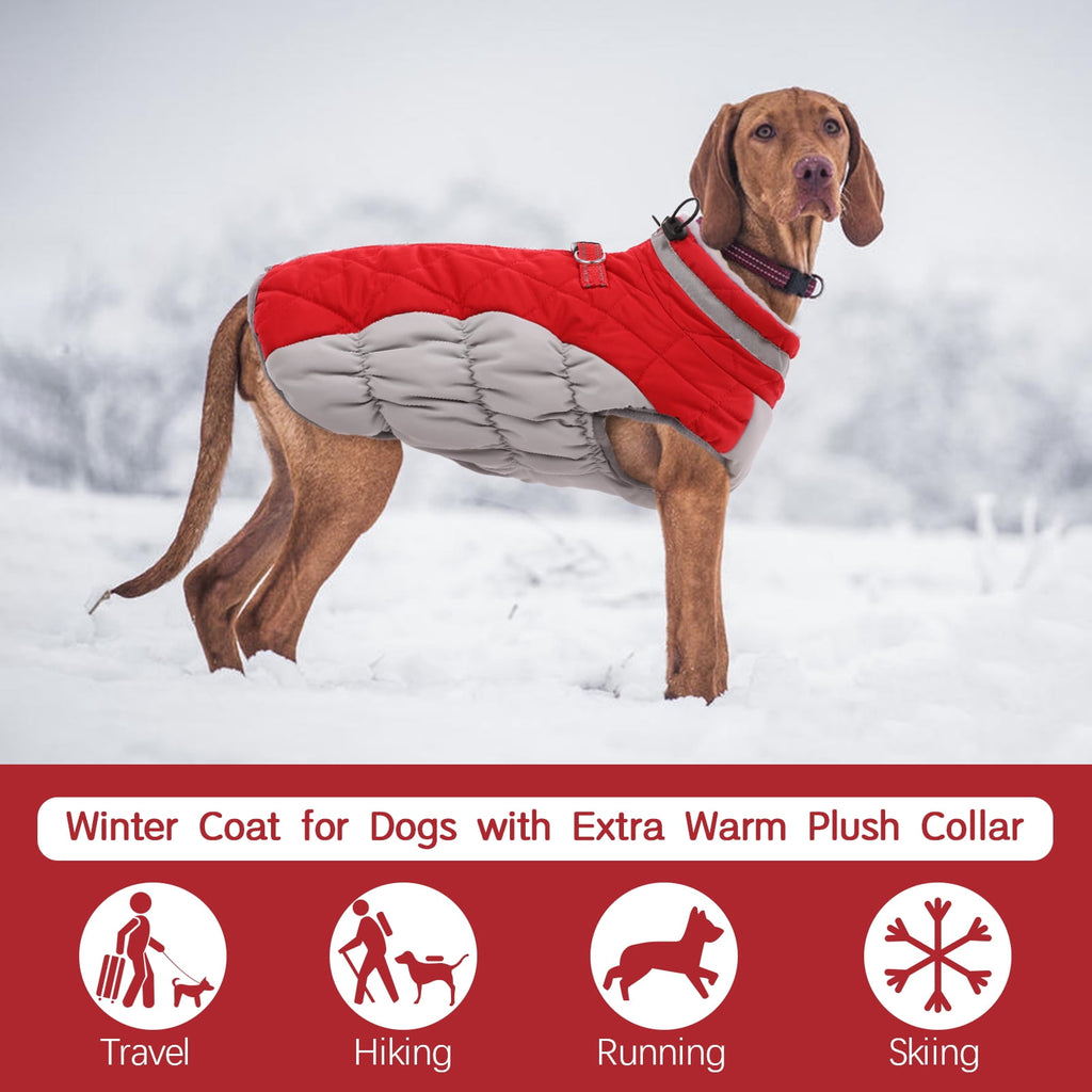 Kuoser Dog Winter Coat, Waterproof Windproof Fleece Padded Jacket with Reflective Trim and Leash Ring for Small Dogs, Purple, S