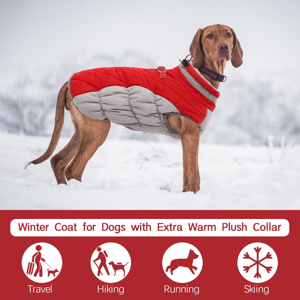 Kuoser Dog Winter Coat, Waterproof Windproof Fleece Padded Jacket with Reflective Trim and Leash Ring for Small Dogs, Purple, S