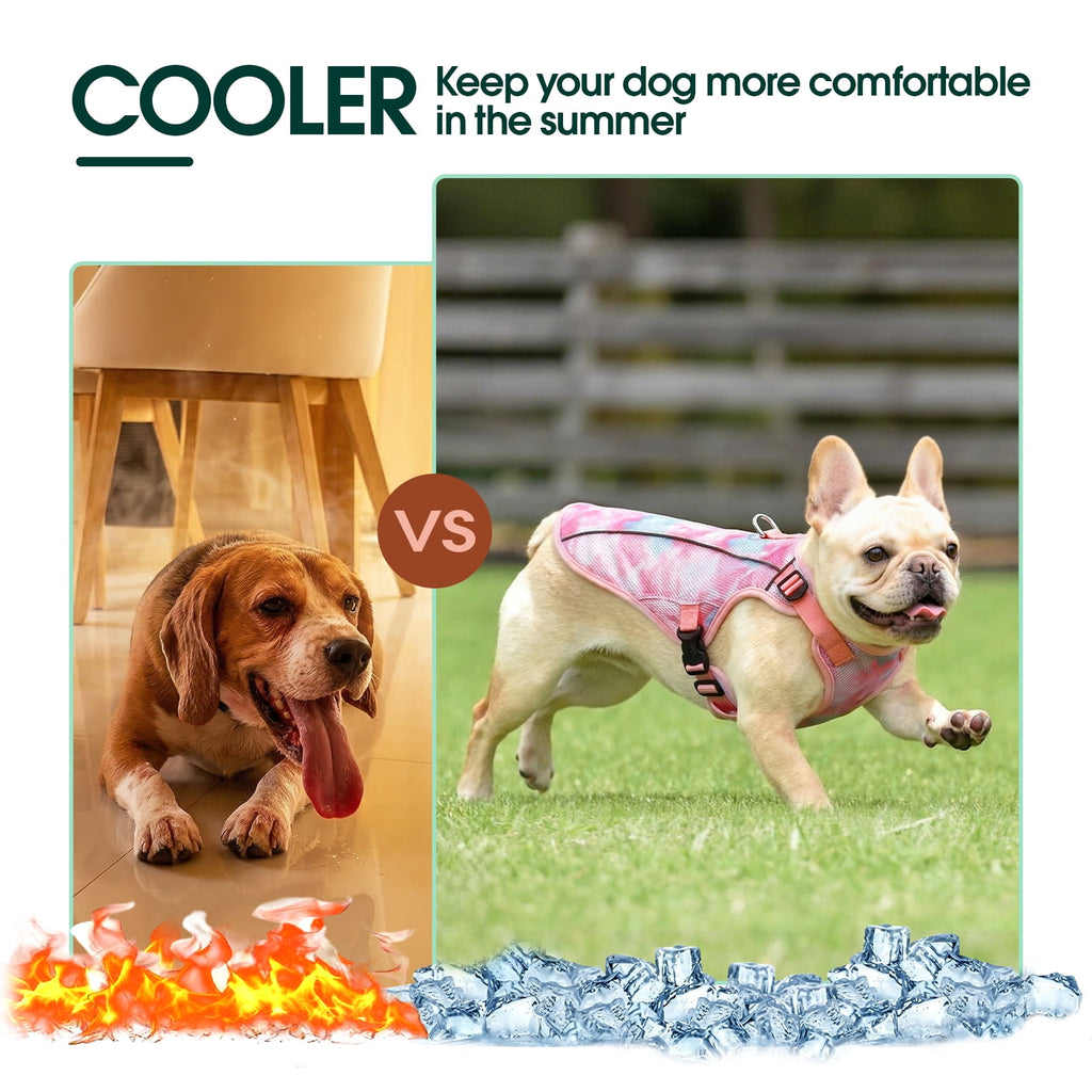 Kuoser Dog Cooling Vest, Breathable Mesh Ice Vest for Dogs, Cooling Jacket for Pet, Blue, extra large