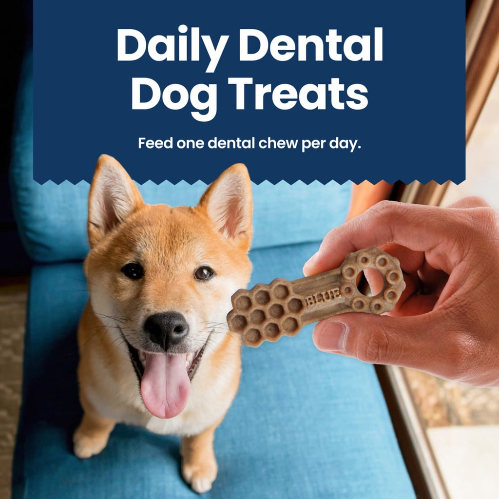 Blue Buffalo Medium Dental Chews, Daily Dental Care Dog Treats, Chicken & Spearmint (14 Count)