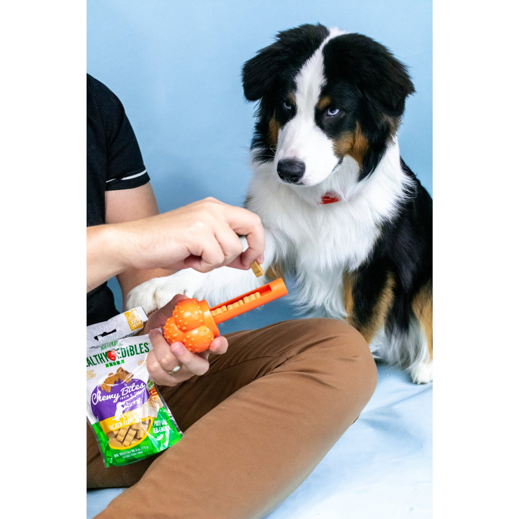 Nylabone Sneaky Snacker Dog Treat Toy Bacon Orange Large (1 Count)