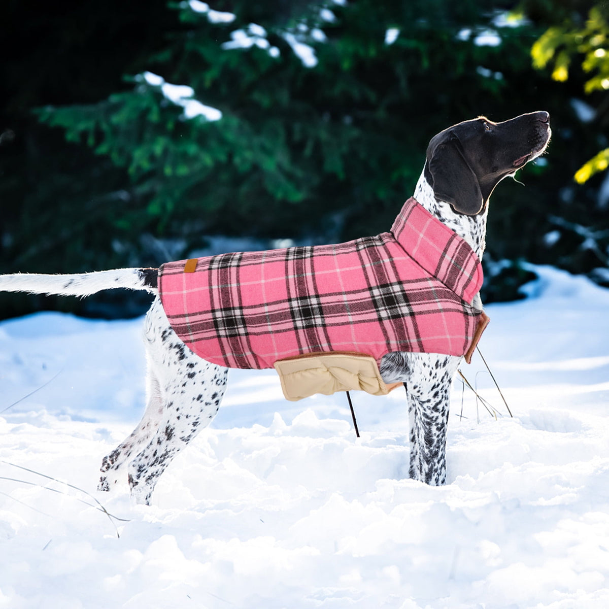 Kuoser Reversible Dog Coat Adjustable British Style Plaid Pet Jacket, Waterproof and Windproof, Blue, M