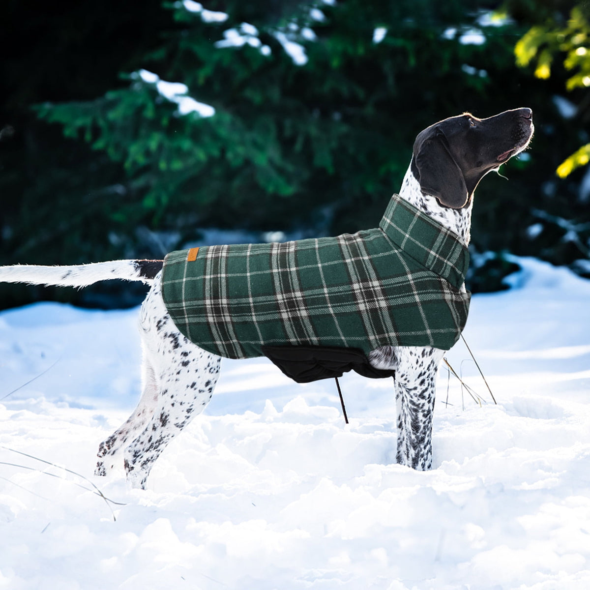 Kuoser Reversible Dog Coat Adjustable British Style Plaid Pet Jacket, Waterproof and Windproof, Blue, M