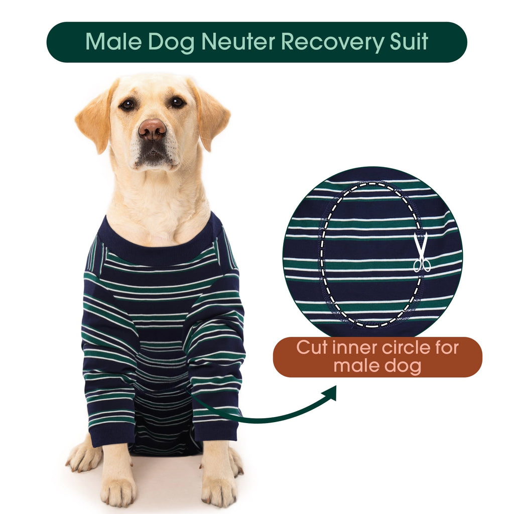 Kuoser Dog Recovery Suit Long Sleeve Dog Onesie after Surgery, Navy Blue, M
