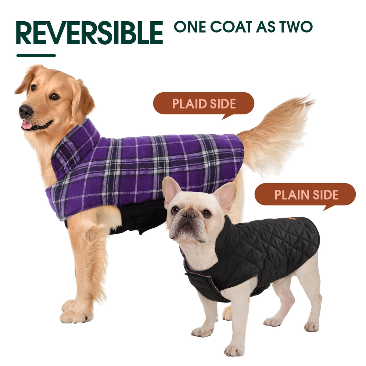Kuoser Reversible Dog Coat Adjustable British Style Plaid Pet Jacket, Waterproof and Windproof, Blue, M
