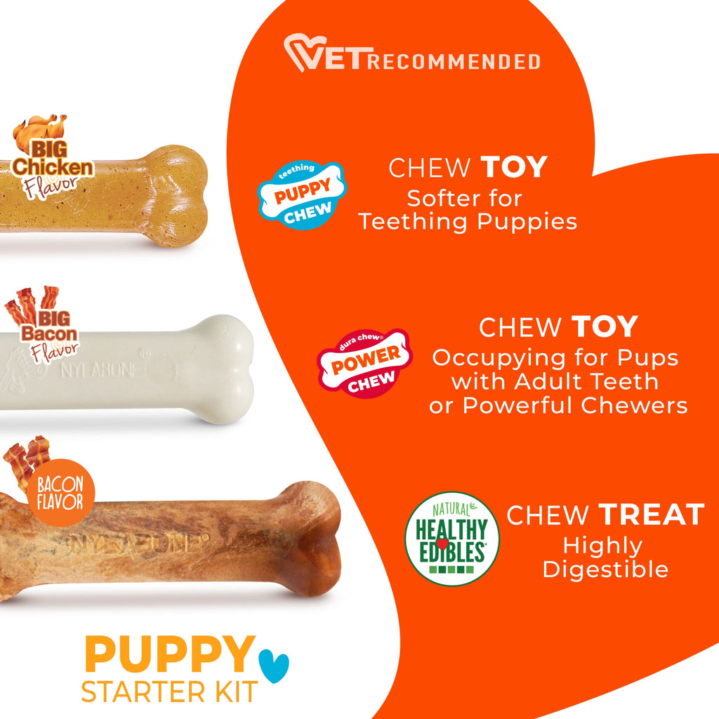 Nylabone Puppy Toys, Dog Teething Toys & Dog Treats, Variety Flavor, Small, 3 pack