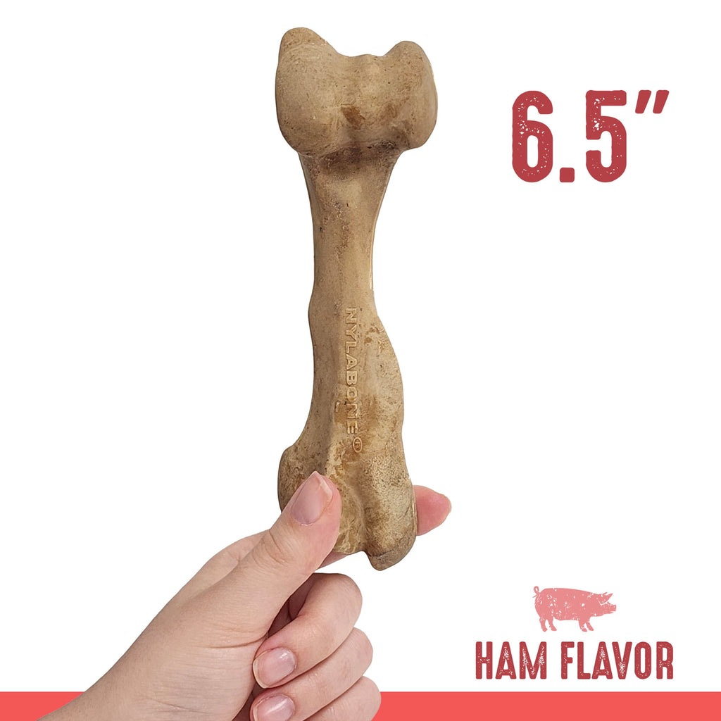 Nylabone Broth Bones Natural Dog Treats for Dogs, Bone Broth Dog Bones, Ham Flavor, For Large Dogs (1 Count)