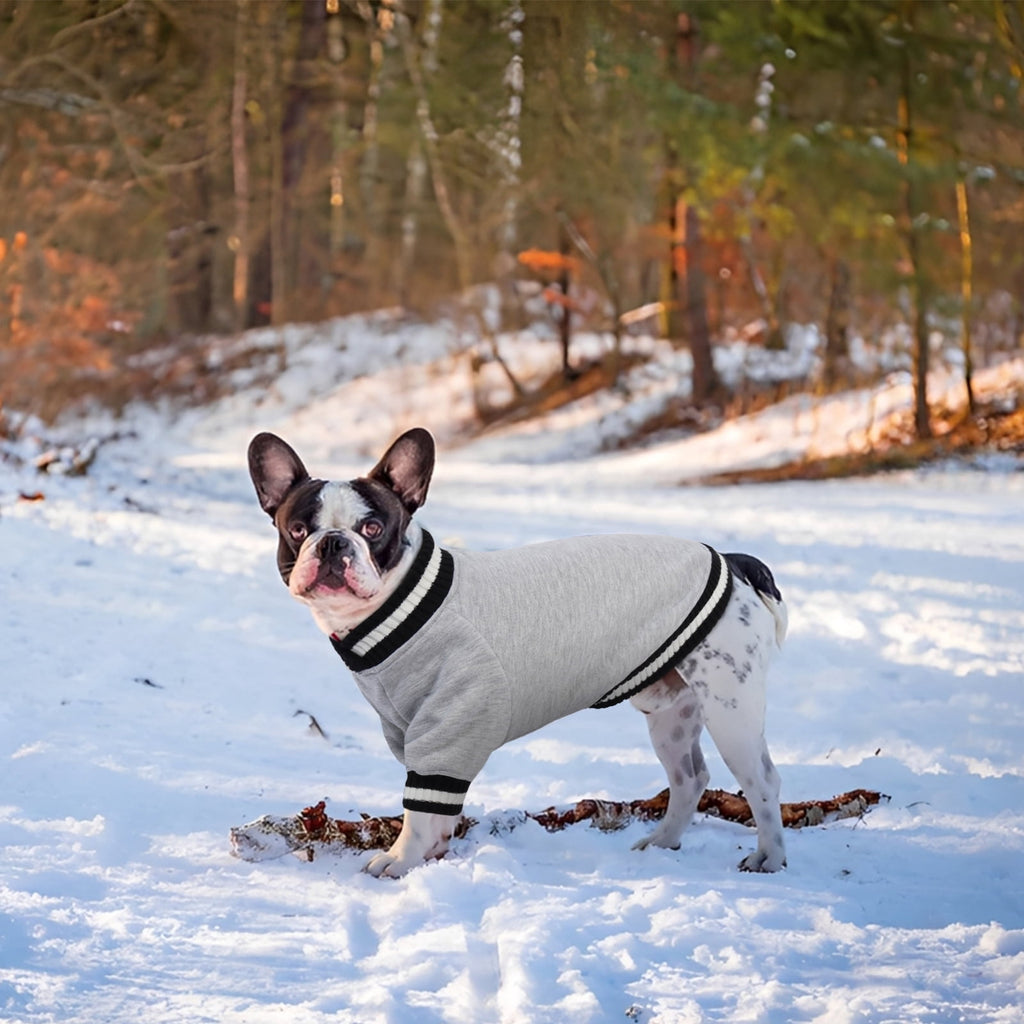 Kuoser Dog Winter Sweater, Cute Pet Pullover Vest, Soft and Thick Sweatshirt for Dogs and Cats, Green, XL