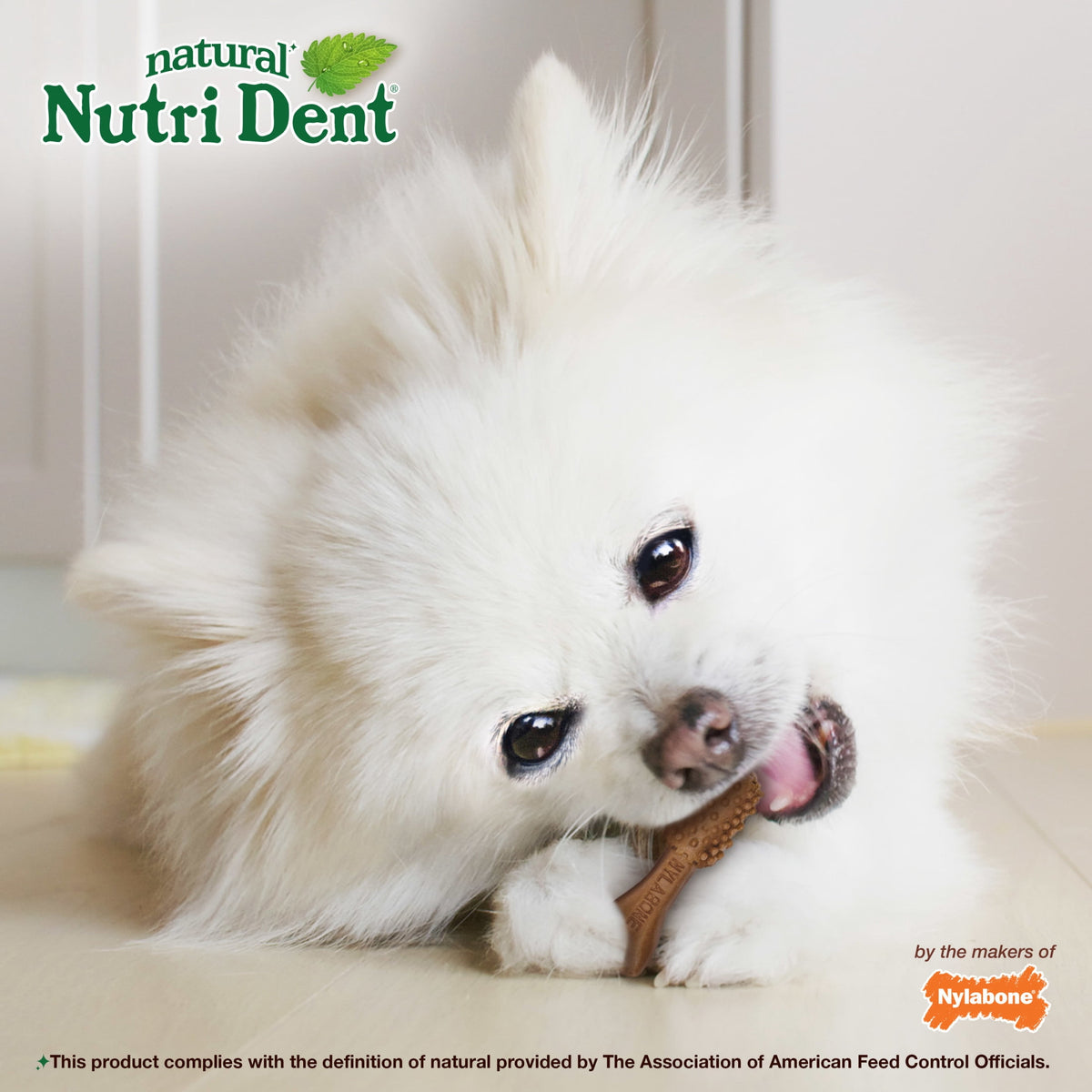 Nylabone Nutri Dent Natural Dental Chews for Dogs, Limited Ingredient Dog Treats, Teeth Cleaning Dental Sticks for Dogs, Filet Mignon Flavor, For X-Small Dogs (78 Count)