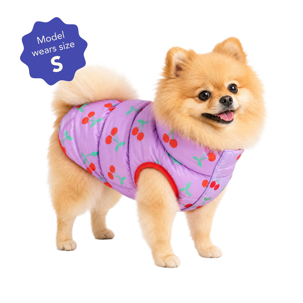 Oodles Quilted Fall Puffer Dog Jacket, Pink, Small