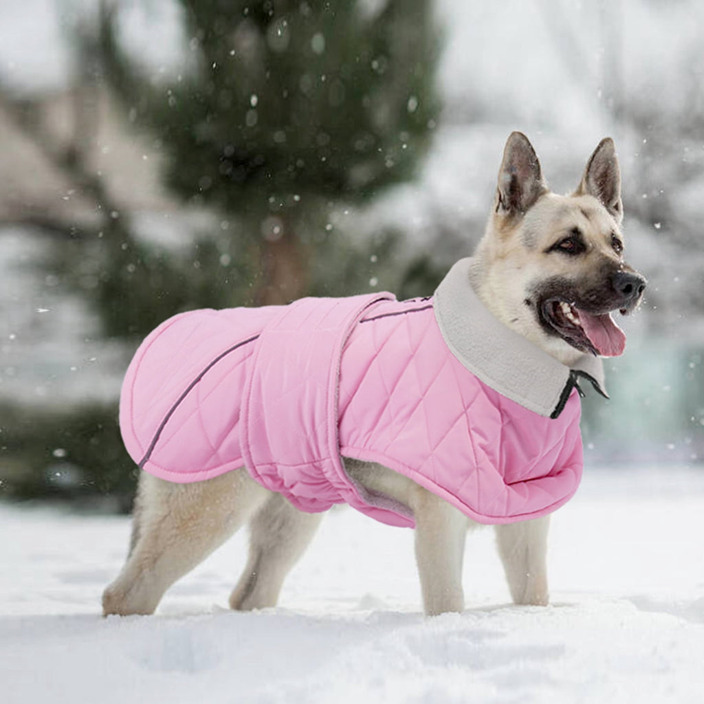 Kuoser Dog Coat Warm Dog Winter Jacket for Small Medium Large Dogs, Green, M