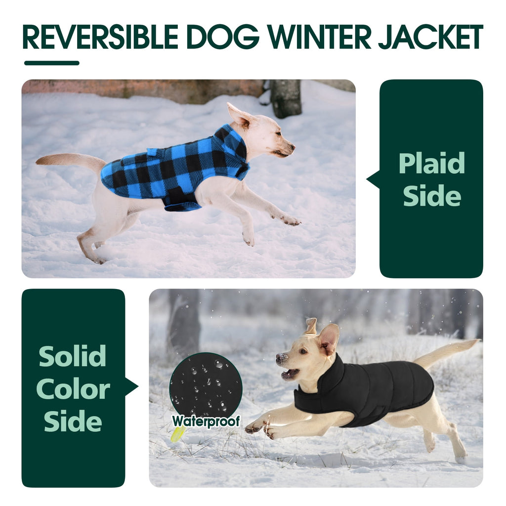 Kuoser British Style Plaid Dog Winter Coat, Windproof Cozy Cold Weather Jacket for Dogs, Blue, M