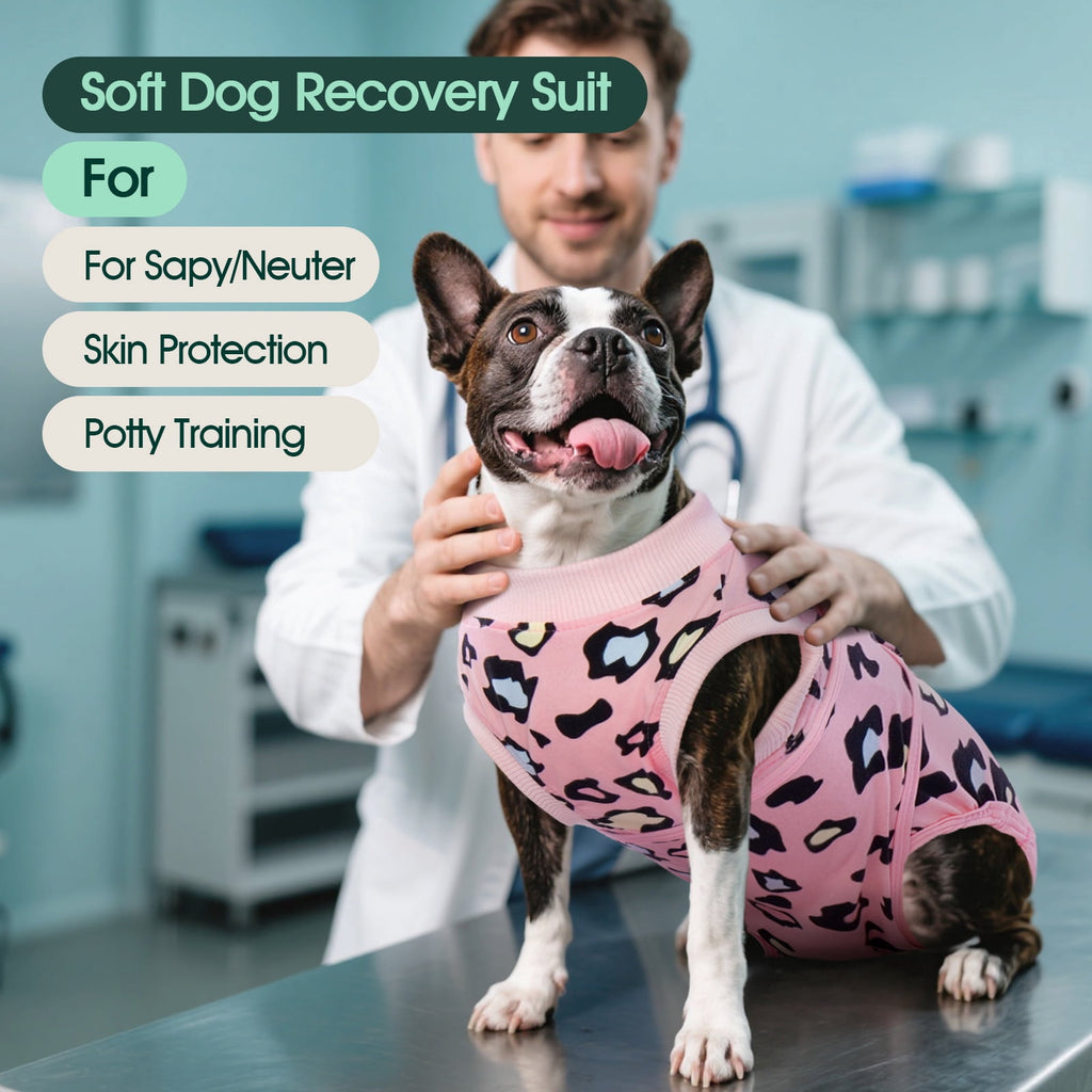 Kuoser Dog Recovery Suit after Surgery, Professional Surgical Onesie for Male Female Dogs, Soft Pet Surgery Suit for Abdominal Wounds Skin Disease, Purple Leopard, XL