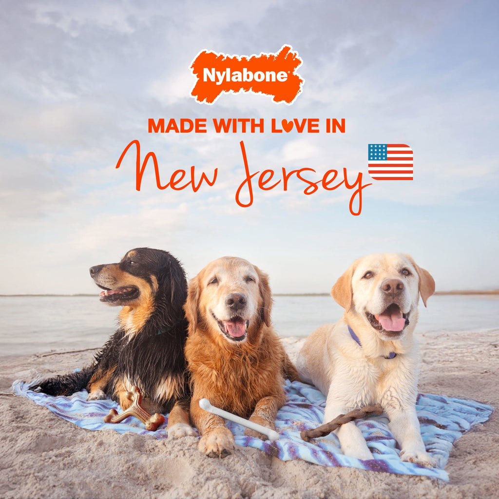 Nylabone Power Chew Textured Bone Dog Toy, Dog Chew Toy, Bacon & Steak Flavor, Large, 1 Count