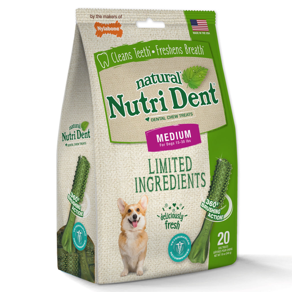Nylabone Nutri Dent Natural Dental Chews for Dogs, Limited Ingredient Dog Treats, Teeth Cleaning Dental Sticks for Dogs, Fresh Breath Flavor, For Medium Dogs (20 Count)